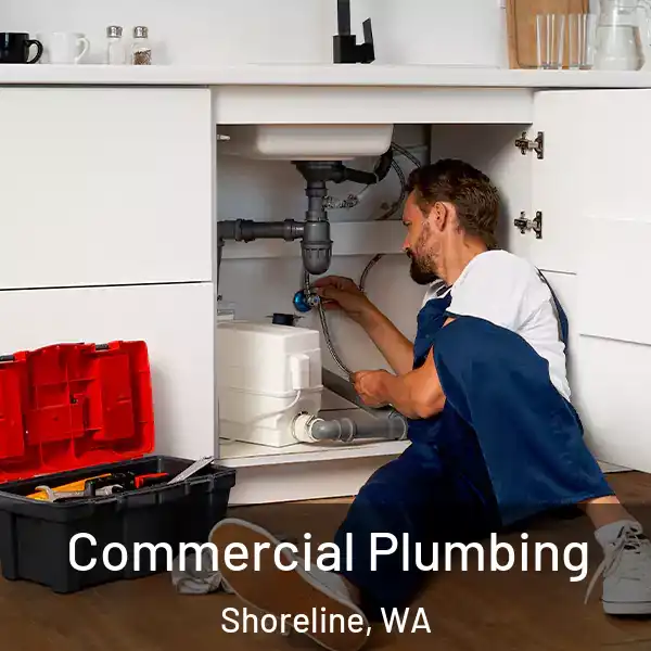  Commercial Plumbing Shoreline, WA
