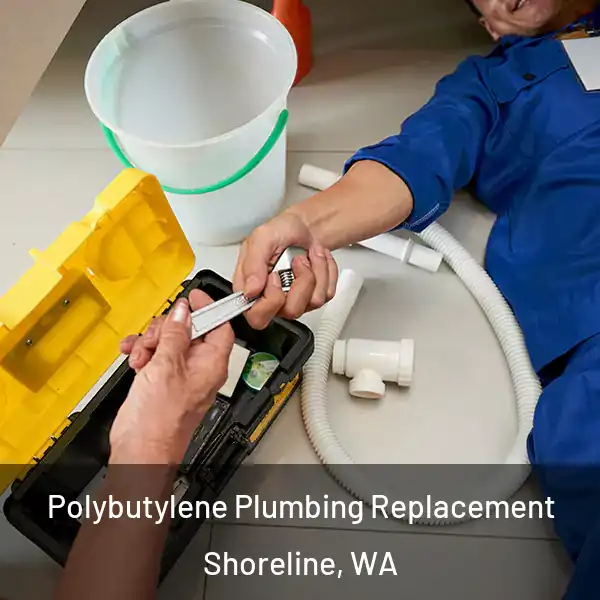  Polybutylene Plumbing Replacement Shoreline, WA