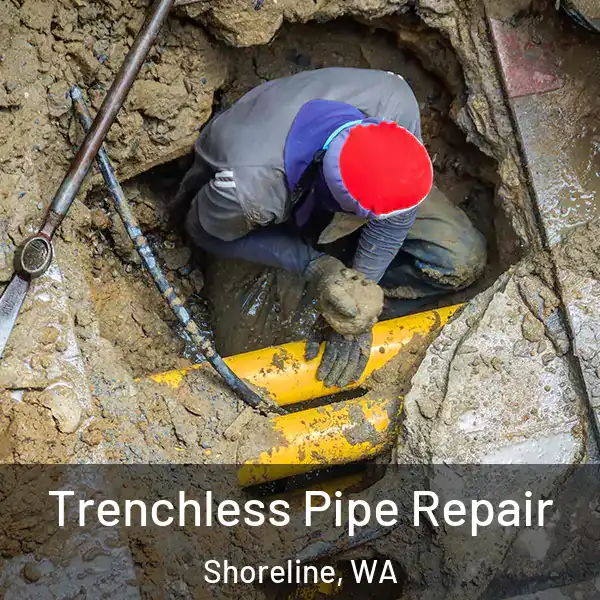  Trenchless Pipe Repair Shoreline, WA